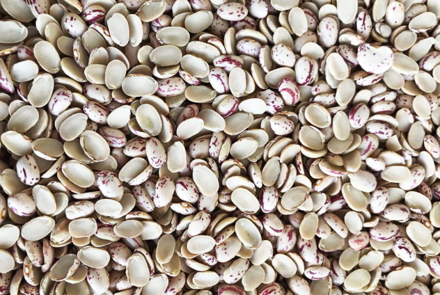 Split Cranberry Beans