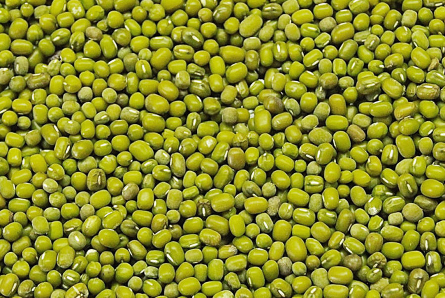 Green Mung Beans