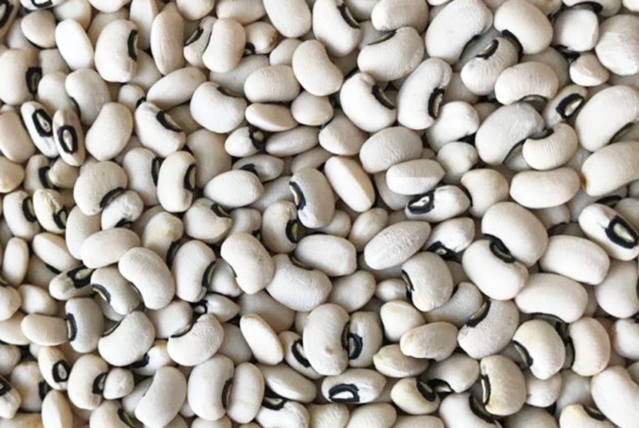 Black Eyed Beans