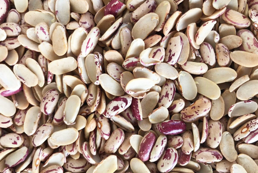 Split Light Speckled Kidney Beans