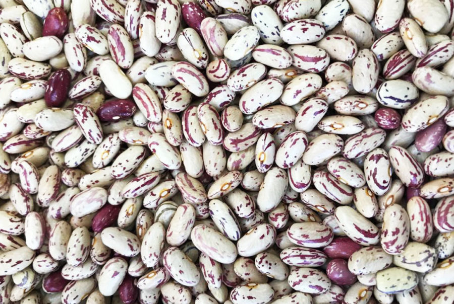 Light Speckled Kidney Beans